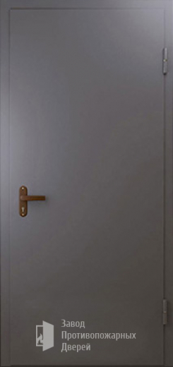 Фото двери «Техническая дверь №1 однопольная» в Можайску