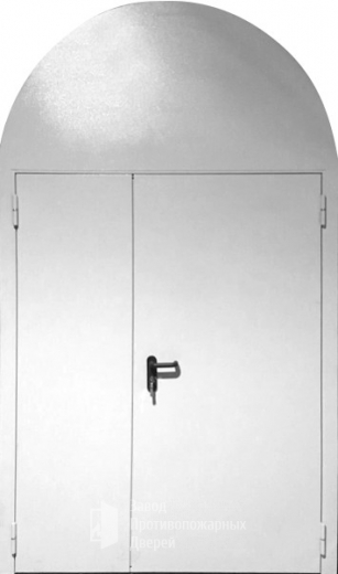 Фото двери «Арочная дверь №2» в Можайску