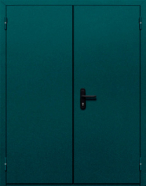 Фото двери «Двупольная глухая №36» в Можайску